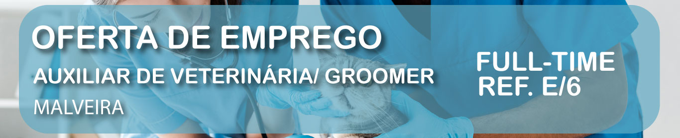 Bolsa de emprego vet